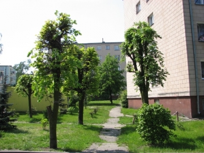 ul. Leśna (maj 2008)